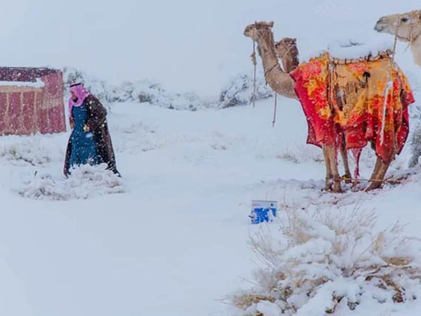 Tuyết phủ trắng sa mạc Sahara
