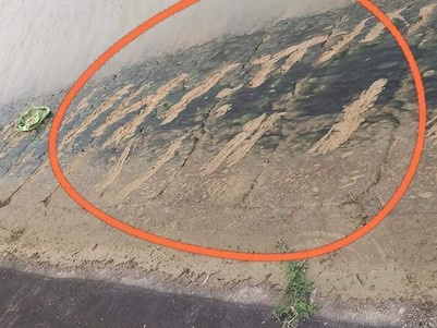 Vớt được thi thể học sinh lớp 3 sau 3 ngày tìm kiếm, vết cào tuyệt vọng ở bờ sông khiến ai cũng nhói lòng