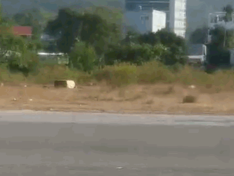 Video: Nam thanh niên nước ngoài 'làm xiếc' trên xe máy khiến người dân bất bình