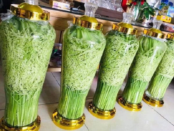 Rượu hoa quả 'gây sốt' thị trường trước Tết Nguyên đán