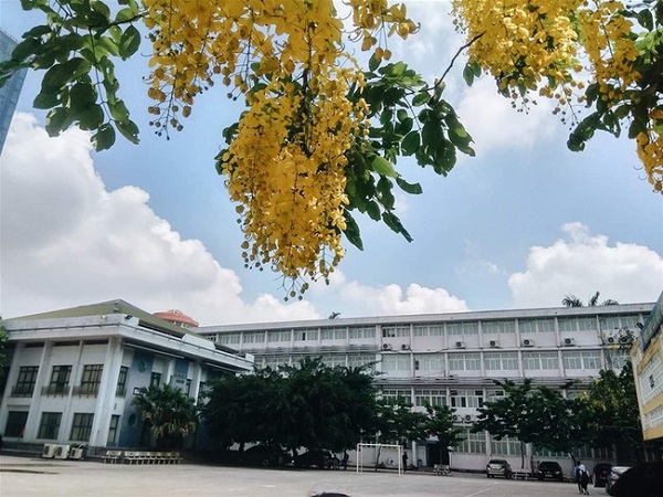 Một trường đại học ở Hà Nội 'chơi lớn': Thông báo lịch nghỉ Tết nhưng gây choáng khi lì xì cho sinh viên hẳn 500.000 đồng