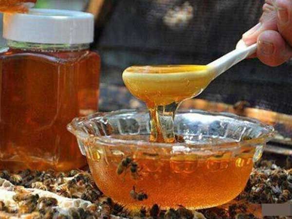 Uống mật ong nếu có 1 trong 6 dấu hiệu này cần dừng ngay kẻo hối hận