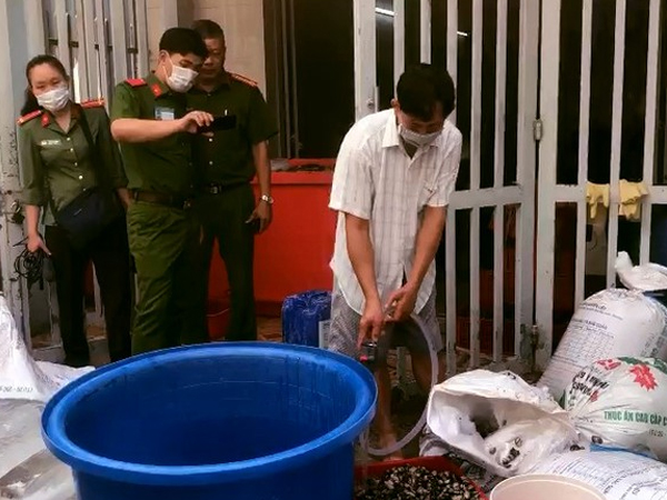 Đột kích cơ sở mỗi ngày tuồn hàng tấn ốc 'ngậm' hóa chất ra thị trường