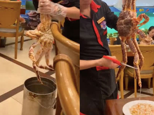 Bát tiết canh cua hoàng đế có giá tới 8 triệu đồng khiến dân mạng tranh cãi: Ăn mặn chát như nước biển chứ có gì ngon?
