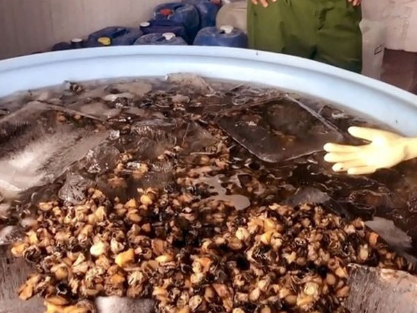 Chủ cơ sở khai lý do dùng hóa chất để ngâm 1,3 tấn thịt ốc trước khi bán cho tiệm ăn, chợ, siêu thị