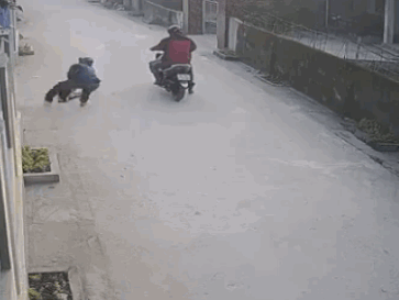 CLIP: Người dân bất lực nhìn 2 thanh niên đi xe máy 'cướp chó' giữa ban ngày
