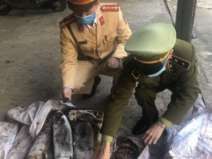 Hơn 600kg mực ống đông lạnh bốc mùi, thối rữa đang trên đường tuồn ra thị trường
