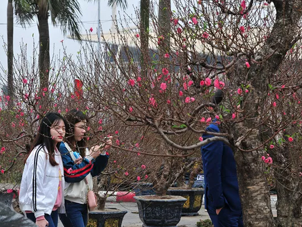 Chợ hoa xuân Mỹ Đình nhộn nhịp khách đi sắm Tết