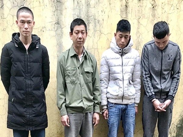 Hà Tĩnh: Bắt 4 đối tượng thực hiện 17 vụ trộm chó