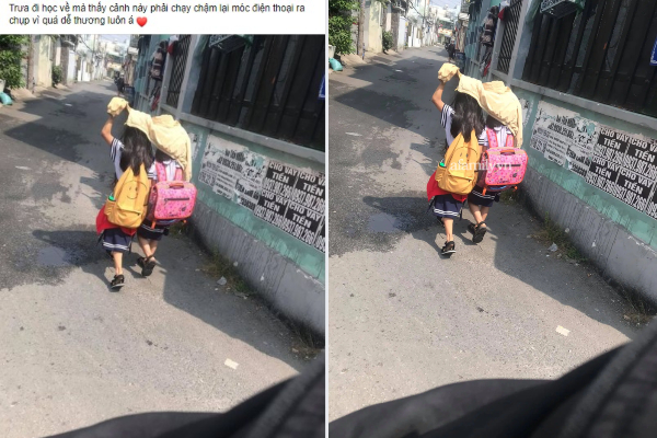 Nam sinh chụp lại cảnh tượng 'cưng xỉu' trên đường, không ngờ nhận ngay 'bão like'