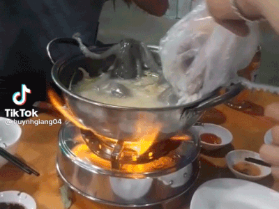 Cư dân mạng tranh cãi kịch liệt trước cảnh tượng nhúng bạch tuộc tàn nhẫn, có người kêu 'thà nhịn còn hơn'