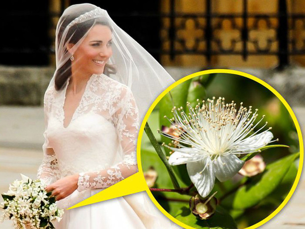 9 điều kỳ lạ tồn tại trong Hoàng gia Anh khiến người thường cảm thấy cực kỳ khó hiểu