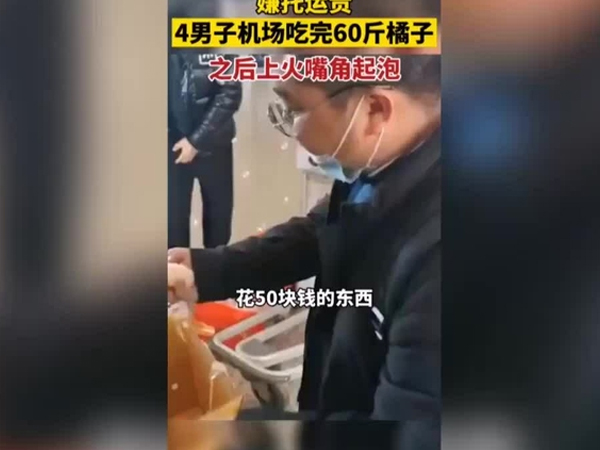 Ăn 30 kg quýt để khỏi trả phí hành lý