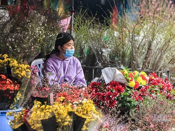 Tai họa ngày cận Tết, cả làng hoa Hà Nội 'ngồi trên đống lửa'