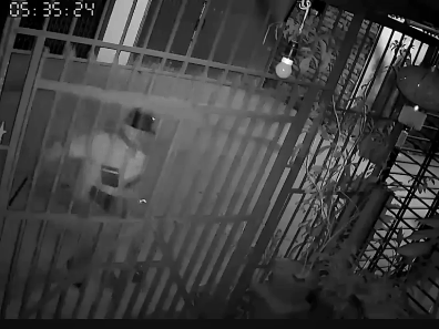 Video: Gã đàn ông đạp tung cổng, xông vào bắt chó bằng thủ đoạn gây sốc