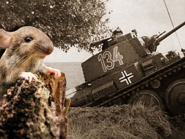 Đội quân chuột làm nên chiến thắng Đức Quốc xã trong Trận Stalingrad
