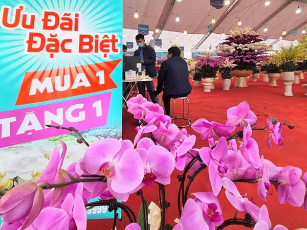 Chuyện lạ trên thị trường hoa Tết: Ồ ạt xả hàng như đêm 30, mua 1 tặng 1
