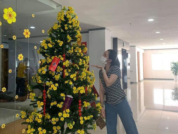 Mai vàng chơi Tết phiên bản 'con nhà nghèo' khiến dân mạng cười nghiêng ngả