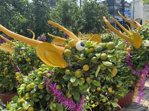 Kiểng trâu thu hút du khách
