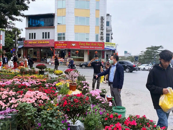 Báo nhanh từ chợ hoa: Giá của các chậu hoa không thể thiếu khi trang trí nhà ngày Tết