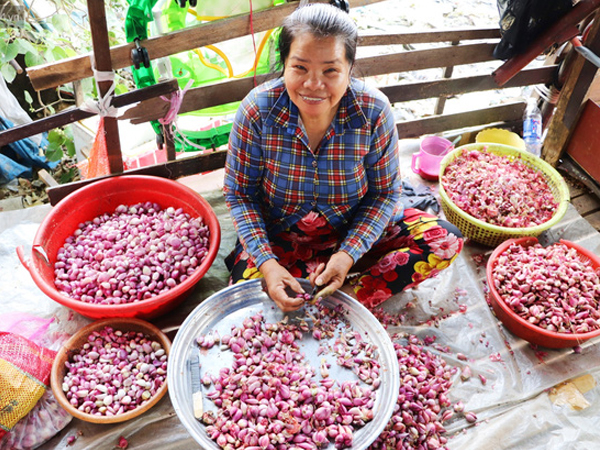 Có một 'xóm cay mắt' của người miền Tây giữa lòng Sài Gòn: 'Tụi tui tính về quê mà không đủ tiền, Tết này ở đây thôi'