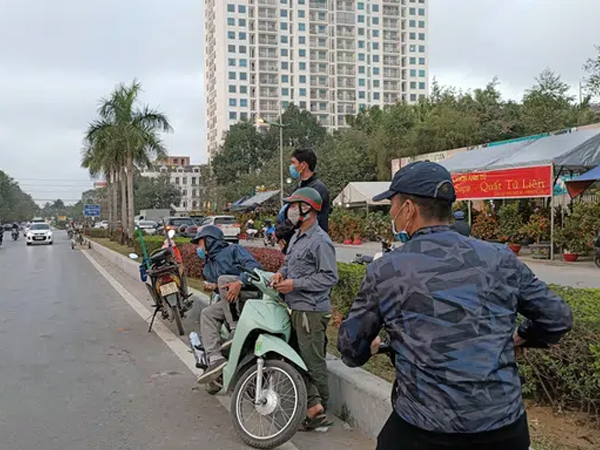 'Cửu vạn' chở cây cảnh thuê 'dài cổ' chờ việc ở chợ hoa Tết