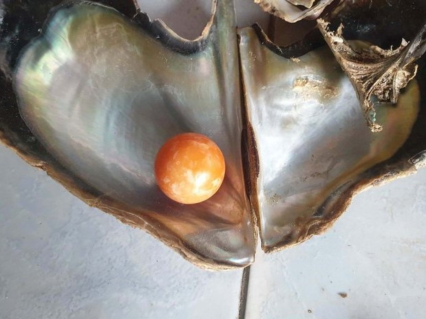 Ngư dân nghèo nhặt được ngọc quý hơn 7 tỷ đồng nhờ 'báo mộng'