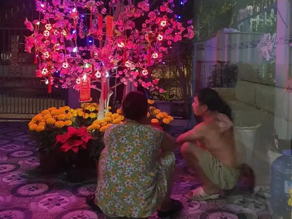 Hai vợ chồng ngồi bên cây đào giả và câu chuyện bật mí phía sau khiến dân mạng 'thả like' rần rần