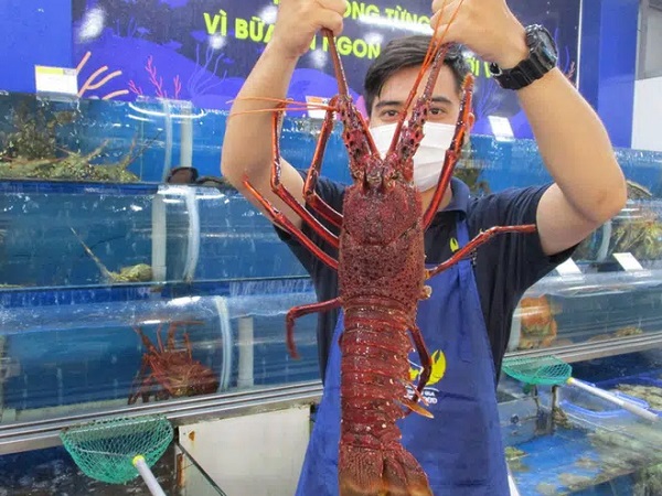 Nhà giàu mạnh tay mua tôm hùm, cua hoàng đế khủng ăn Tết