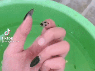 Làm nail xong rửa rau, cô gái nhận cái kết 'đắng' nhưng dân mạng lo cho gia đình cô hơn