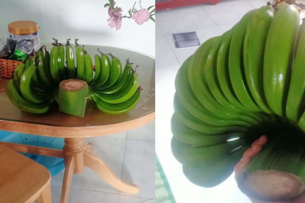 Nhờ chồng đi chợ mua đồ cúng và cái kết khiến cô vợ tái mặt