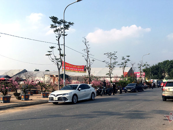 Phố bán hoa nhà giàu bậc nhất Hà Nội, một mùa ế ẩm, chợ tàn sớm
