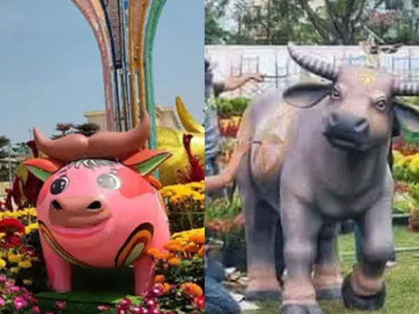 Những hình ảnh linh vật năm Tân Sửu đầu tiên lộ diện: 1001 biểu cảm ngộ nghĩnh của 'Sửu Nhi' béo tròn đến cơ bắp cuồn cuộn