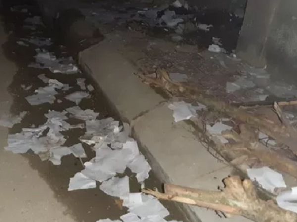 Bắt hàng trăm người đốt pháo trái phép đêm giao thừa