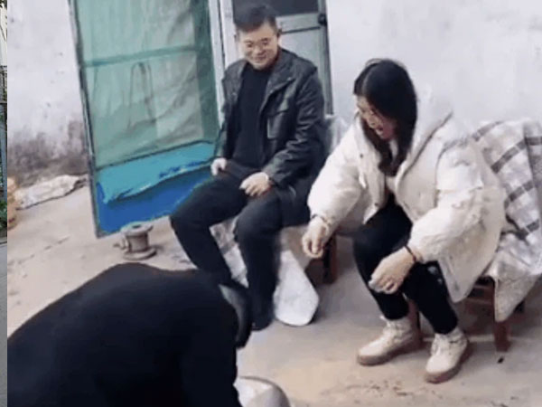 Phong tục năm mới gây tranh cãi trên MXH Trung Quốc hiện tại: Đập đầu vào thau nhôm để chúc Tết, tiếng kêu càng to càng có nhiều may mắn