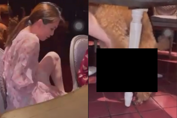 Ngọc Trinh mới đầu năm đã gây thị phi: Đăng clip cún làm hành động nhạy cảm, còn đặt câu hỏi trêu ngươi