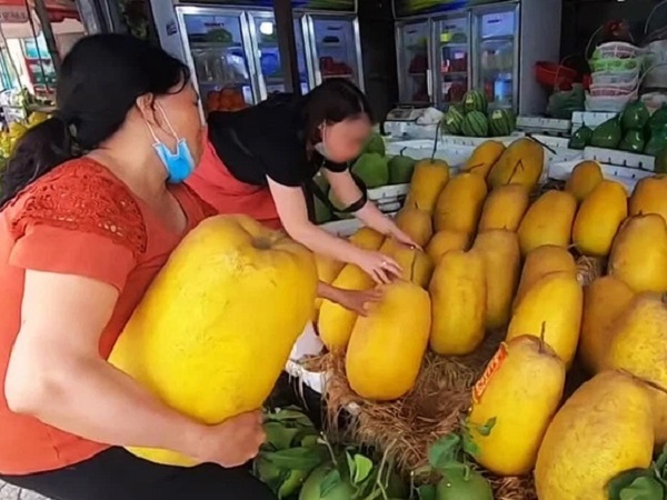 Dân mạng xôn xao loại bưởi lạ to như quả bí khổng lồ, ăn được từ vỏ đến ruột với giá lên tới 100k/kg!?
