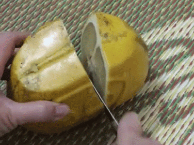 Sự thật đắng ngắt trong trái bưởi thỏi vàng của nhà giàu Việt