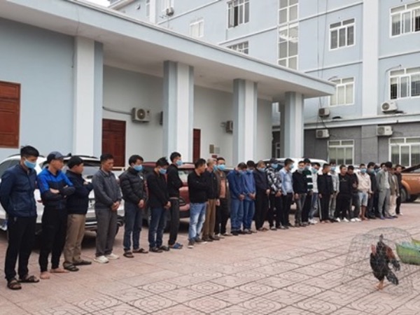 Bắt quả tang 33 đối tượng tham gia 'đá gà' ở Nghệ An
