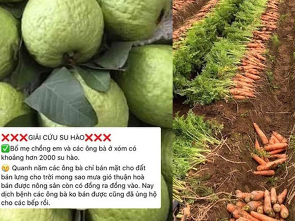 Ấm lòng cảnh dân tình rần rần giải cứu nông sản giúp bà con Hải Dương: nhìn giá bán mà ai cũng thương người nông dân