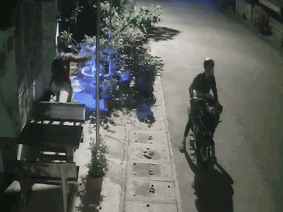 Video: Trộm chích điện, bắt chó trong 15 giây ở TP.HCM