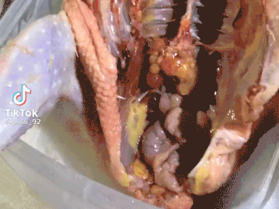 Mua gà trống làm thịt nhưng lãi nguyên bọc trứng, lời của dân mạng càng gây bất ngờ hơn