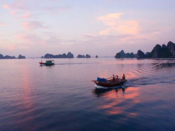 Tàu không người lái chạy lòng vòng, đôi vợ chồng ngư dân chết bất thường trên vịnh Bái Tử Long