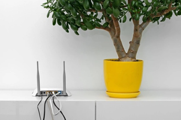 Đừng đặt router Wi-Fi ở 3 vị trí này trong nhà, nếu không tốc độ 100 Mbps cũng hóa 'rùa bò'