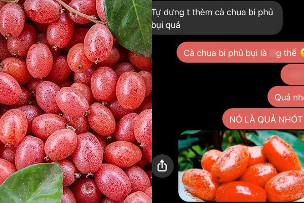 Anh chàng quên tiếng mẹ đẻ và quả 'cà chua bi phủ bụi' hack não dân mạng