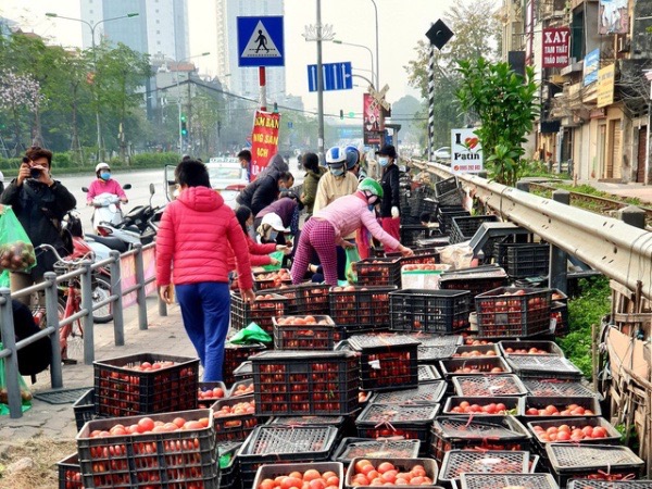 40.000 đồng/10kg cà chua 'giải cứu', mách chị em cách bảo quản cà chua được lâu và chế biến được nhiều món ăn hấp dẫn