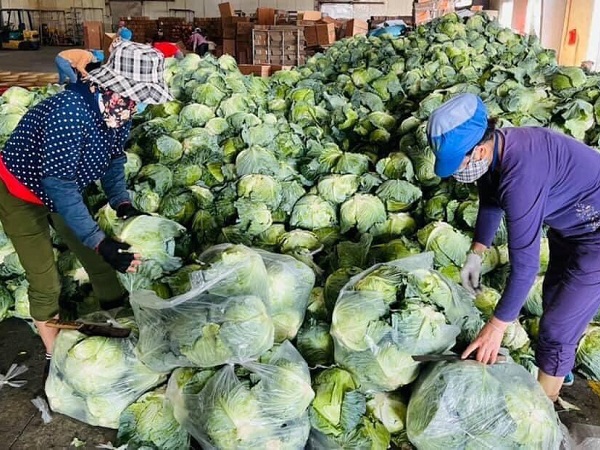 Hải Phòng 'ngăn sông cấm chợ' nông sản Hải Dương: Điệp khúc 'giải cứu' đến bao giờ?
