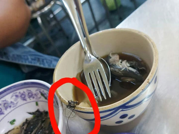 Vị khách 'tái mặt' phát hiện 1 nắm tóc rối trong bát mì đang ăn, nhưng bất mãn nhất là thái độ 'biết nhưng thờ ơ' của chủ quán