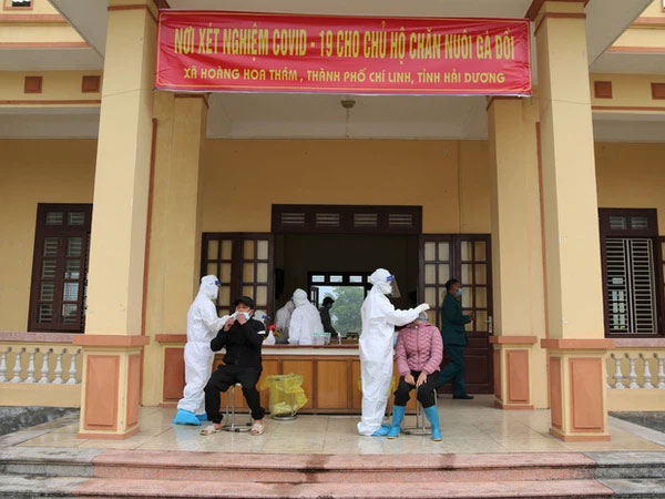 Hải Dương: Xét nghiệm để 'giải cứu' 1,2 triệu con gà đồi ở tâm dịch Chí Linh