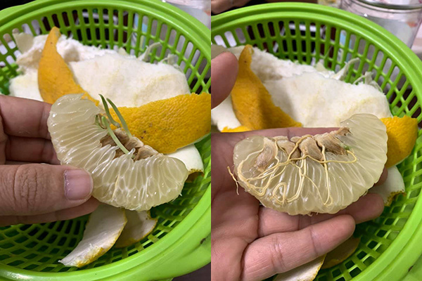Mang trái bưởi để dành trong gầm giường ra bổ, người đàn ông ngỡ ngàng vì phát hiện thứ đặc biệt bên trong